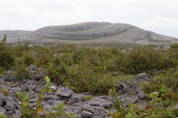 Karst rock in the beautiful Burren National Park in County Clare - Ireland
