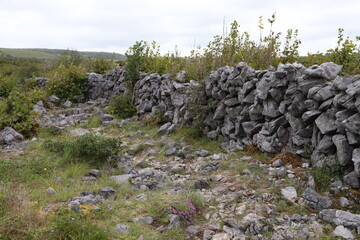 A stone wall in the beautiful Burren National Park in County Clare - Ireland - obrazy, fototapety, plakaty