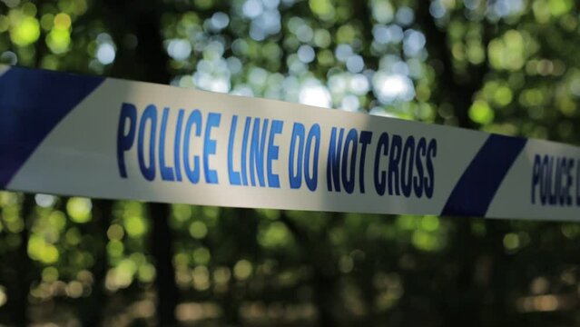 Cinematic UK Police Tape in Forest 
