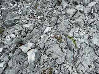 Karst rock in the beautiful Burren National Park in County Clare - Ireland