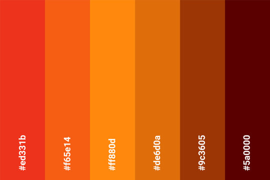 Abstract Colored Palette Guide. Table color shades. Color harmony. Trend colors. Vector illustration EPS 10 File.