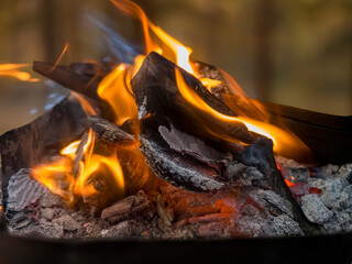 A close up of the a flame wood in bonfire. camp barbecue wood charcoal. wood that burns in the...