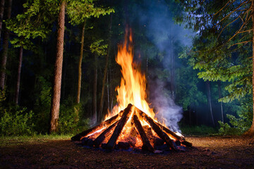 Burning campfire on a dark night in a forest. The bonfire burns in the forest. camp fire in the...