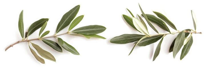 Tragetasche Two fresh olive branches with leaves isolated on white background closeup © Sasint