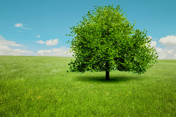 Fototapeta na wymiar Grüner Baum auf einer grünen Wiese