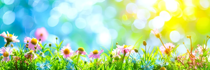 Poster Blumenwiese im Sommer. Nahaufnahme von einer Sommerwiese © shokokoart
