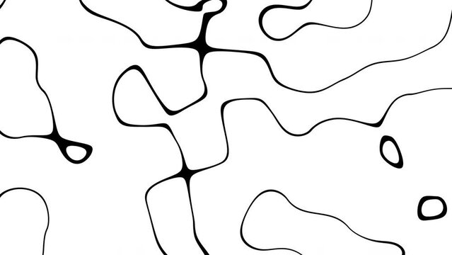 Abstract Waving black lines on white Background. Looping 4k animation of an abstract fractal digital lines background
