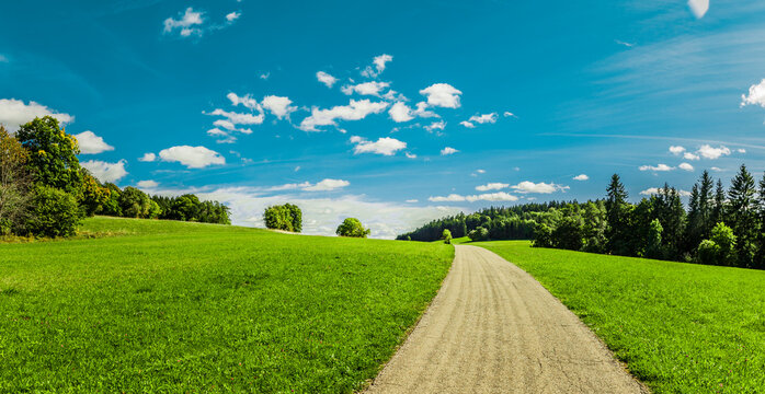 Landstrasse durch eine Gr&uuml;ne Landschaft mit Wiesen und W&auml;ldern