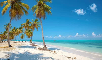 Rolgordijnen Beautiful tranquil empty bright white paradise sand beach,  palm trees, and  turquoise water in Zanzibar © STORYTELLER