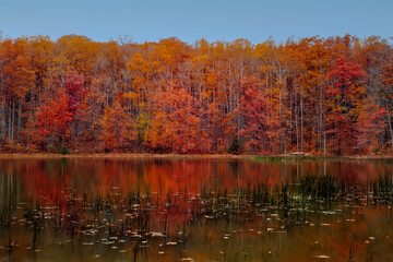 Fall color in pond at Coopers Rock