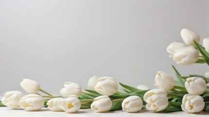 bouquet of white tulips on a pale pink background with space for text