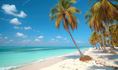 Poster Beautiful tranquil empty bright white paradise sand beach,  palm trees, and  turquoise water in Zanzibar © STORYTELLER