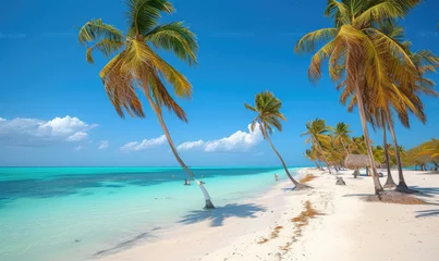 Tuinposter Beautiful tranquil empty bright white paradise sand beach,  palm trees, and  turquoise water in Zanzibar © STORYTELLER