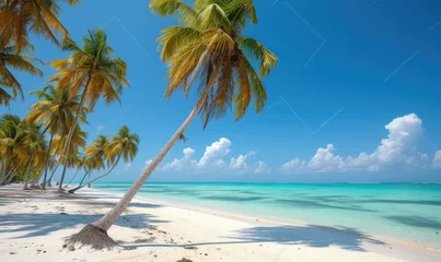 Fotobehang Beautiful tranquil empty bright white paradise sand beach,  palm trees, and  turquoise water in Zanzibar © STORYTELLER