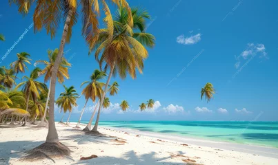 Türaufkleber Beautiful tranquil empty bright white paradise sand beach,  palm trees, and  turquoise water in Zanzibar © STORYTELLER