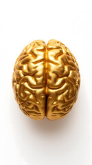 A top view of golden brain on a white background.