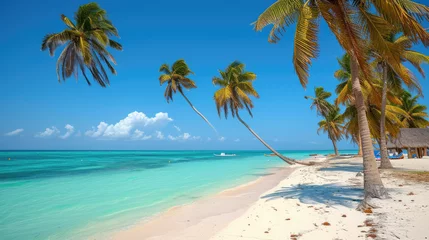 Foto auf Acrylglas Beautiful tranquil empty bright white paradise sand beach,  palm trees, and  turquoise water in Zanzibar © STORYTELLER