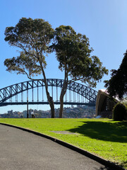 Structure of an arch bridge and a big tree in the park, Australia. Part of Sydney harbour bridge and Opera House from a park.