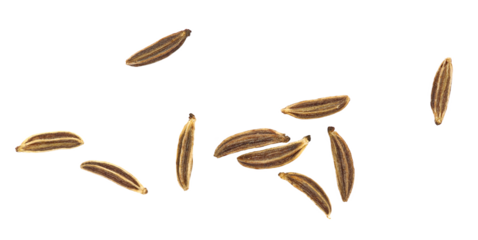 Set cumin isolated on white, top view 