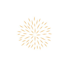 Obraz premium Chinese new year firework