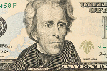 Details of cash American twenty dollars.