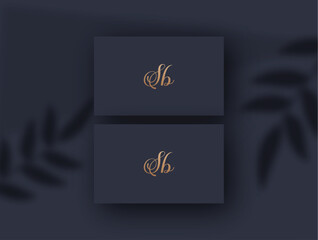 Sb logo design vector image
