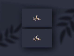 Sm logo design vector image