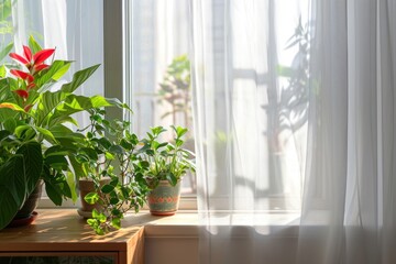 Green indoor plants by the window with a sheer white curtain