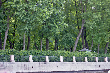 The rich greenery of the summer park is visible from the water surface of one of the canals of St. Petersburg.