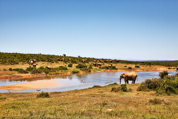 Reise durch Südafrika. © Jane Be. The Picture
