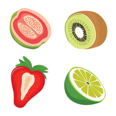 collection of fruit pieces. vector design set