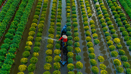 Obraz premium Aerial view of Sa Dec flower garden in Dong Thap province, Vietnam. It's famous in Mekong Delta, preparing transport flowers to the market for sale in Tet holiday.