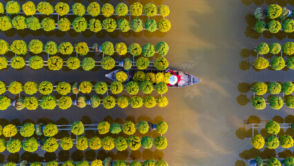 Aerial view of Sa Dec flower garden in Dong Thap province, Vietnam. It's famous in Mekong Delta,...