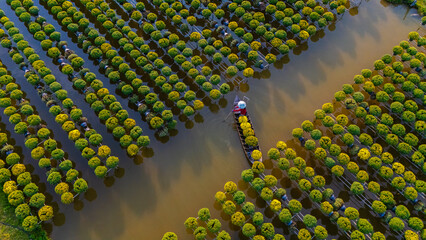 Aerial view of Sa Dec flower garden in Dong Thap province, Vietnam. It's famous in Mekong Delta,...