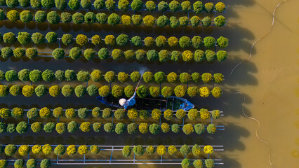 Aerial view of Sa Dec flower garden in Dong Thap province, Vietnam. It's famous in Mekong Delta,...