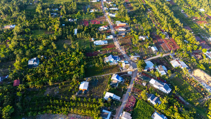 Aerial view of Cho Lach flower garden in Ben Tre, Vietnam. It's famous in Mekong Delta, preparing transport flowers to the market for sale in Tet holiday