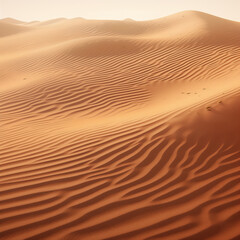 Fototapeta na wymiar desert country background 