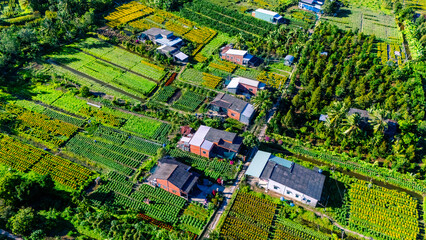Aerial view of Cho Lach flower garden in Ben Tre, Vietnam. It's famous in Mekong Delta, preparing...