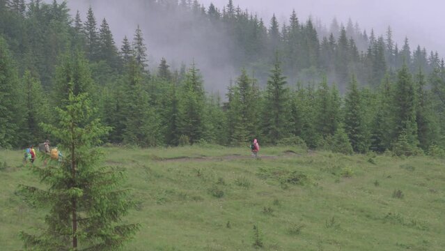 Descent of tourists from the Carpathian mountains.