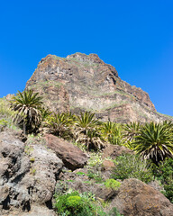 Beautiful cliff at Masca Valley with exotic palm trees. Tenerife, Canary Islands, Spain. - 723175620