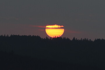 The sun rising over the forest horizon