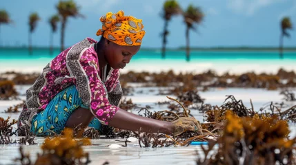 Türaufkleber Women harvest the seaweed for soap, cosmetics and medicin on a sea plantation in traditional dress, island Zanzibar, Tanzania, East Africa © STORYTELLER