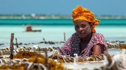 Foto op Plexiglas Women harvest the seaweed for soap, cosmetics and medicin on a sea plantation in traditional dress, island Zanzibar, Tanzania, East Africa © STORYTELLER