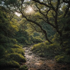 Obraz premium path in the woods