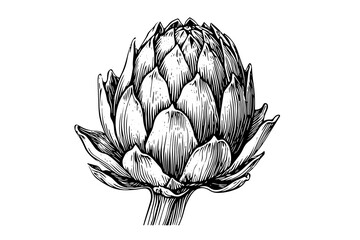 Artichoke engraved, great design for any purposes. Organic food. Handmade drawing. Vector icon.