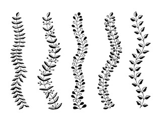 Set of floral tree branch, leaf, plants. Decorative Elements for Decoration. Hand drawing doodles of vector vintage botanical elements.  Line art. Botanic outline pencil sketch draw
