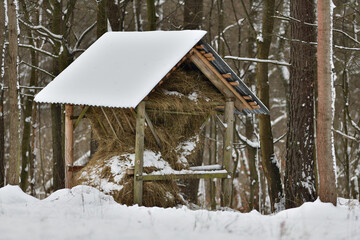 Animal feeder rack with hay for wildlife animal in winter