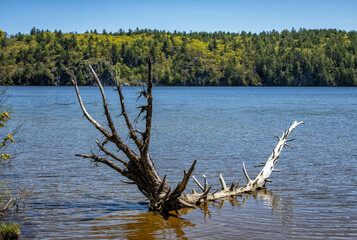 Fototapeta na wymiar Bon Echo Provincial Park landscape image with lake view in Ontario, Canada.