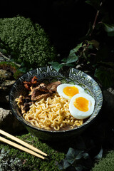 Ramen with mushrooms, nori and egg in a plate. Top view.