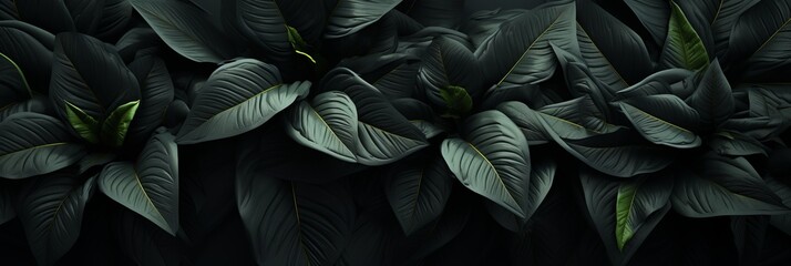Abstract black tropical leaves texture background with copy space for dark nature concept.
